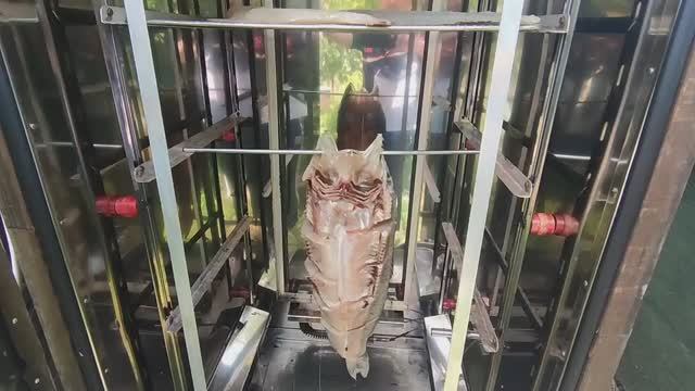 Как коптить рыбу холодным копчением