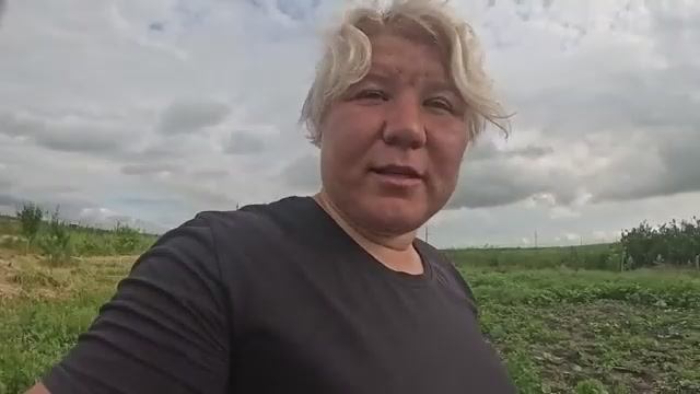 Наталья Губарева. ПОСАДИЛА РАССАДУ ПОМИДОР 🍅 смотреть онлайн