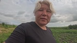 Наталья Губарева. ПОСАДИЛА РАССАДУ ПОМИДОР 🍅