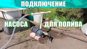 Подключение насоса ПОДРОБНО к Абиссинской скважине для Полива огорода