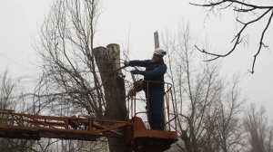 Обрезка деревьев для подключения освещения во дворе
