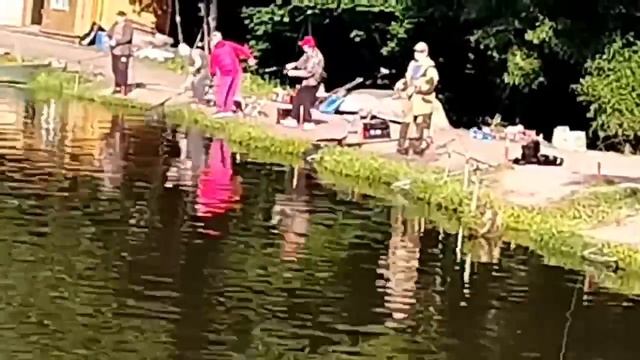 1000088216.mp4 смотреть онлайн