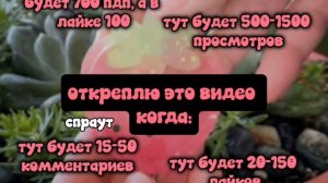 жду