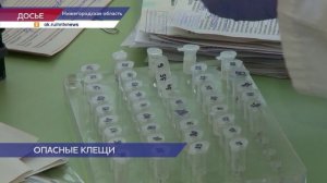 Больше 2,8 тысяч нижегородцев обратились в медучреждения с жалобами на укус клеща