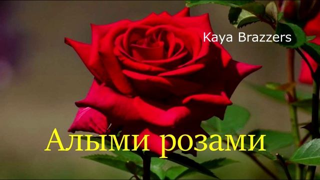 Kaya Brazzers