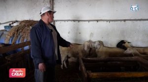 Рубрика «Фермаджылыкъ». Выпуск от 04.06.2026