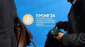 Визит немецких политиков на ПМЭФ вызвал волну критики в Берлине