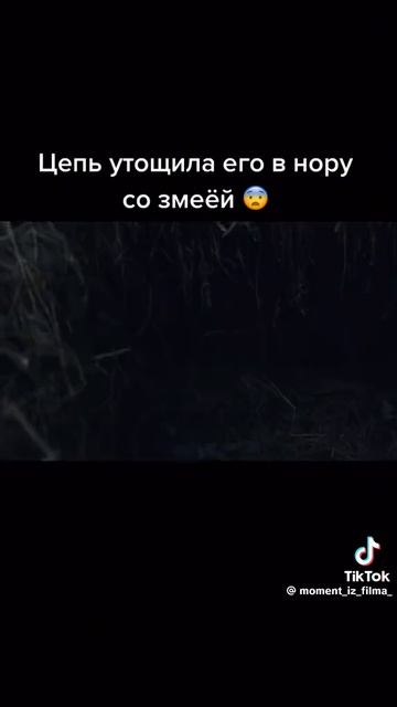 #топ#тренд#новое#фильмы#2026