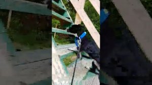 ~всякая всячина~