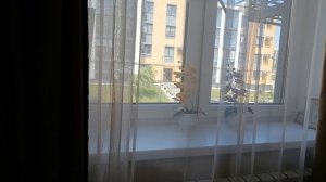 Если мужчина привык изменять...