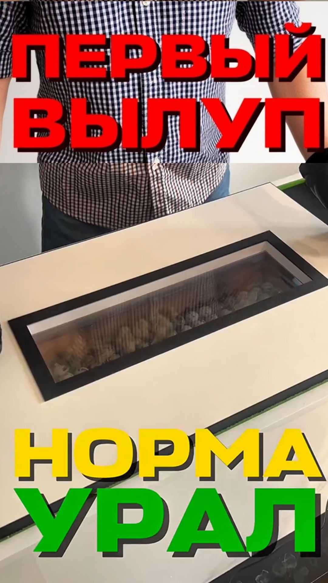 ДРУЖНЫЙ ВЫВОД МИЛЫХ ПЕРЕПЕЛЯТ В ИНКУБАТОРЕ УРАЛ‑200!