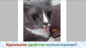 желаем красивые картинки 1 день