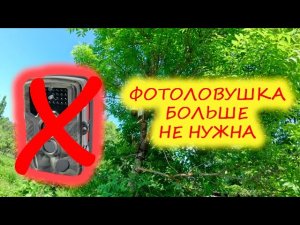 НЕ ПОКУПАЙ ФОТОЛОВУШКУ пока не посмотришь это видео