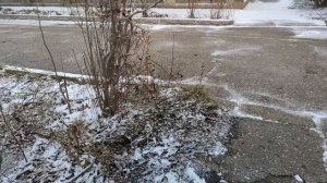 Один из дней города Евпатории | 22 декабря 2021 год | Крым ХАН БАТОН XAH 6ATOH | VID_20211222_144557