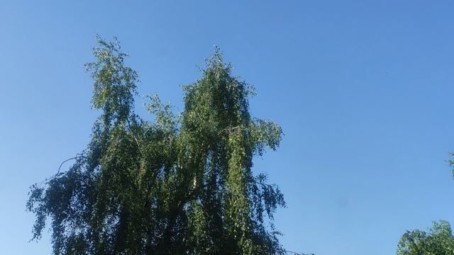 4 июня - СЕНСАЦИЯ сегодня жарко не купайтесь в пьяном виде это опасно для жизни. смотреть онлайн
