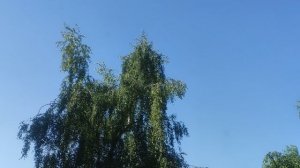 4 июня - СЕНСАЦИЯ сегодня жарко не купайтесь в пьяном виде это опасно для жизни.