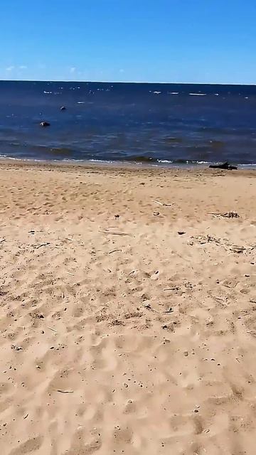 Финский залив с песчаным пляжем недалеко от Комарово.  #travel