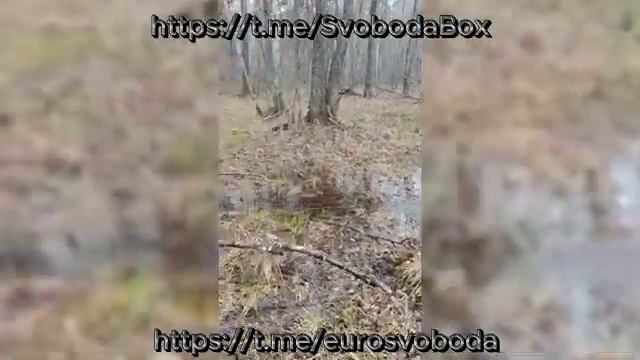 Через болото к свободе Поход в Беларусь Не забывайте нажать и ракету .