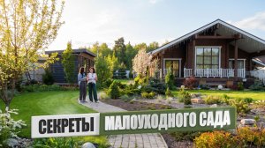 МАЛОУХОДНЫЙ САД СВОИМИ РУКАМИ, КРАСИВЫЙ САД — ЭТО ТЯЖЕЛЫЙ ТРУД?
