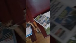 видео  разнос газет  партии лдпр и тетрадей и календарей партии лдпр