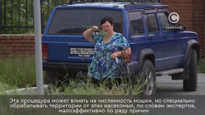 Плановые обработки от клещей и комаров