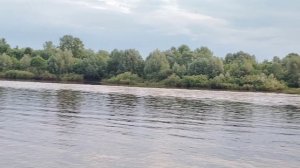 До новой встречи « Пирогов»