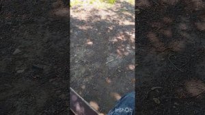 Сколько богов на самом деле?