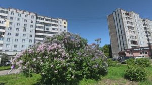 Красноярск 04.06.2026г.