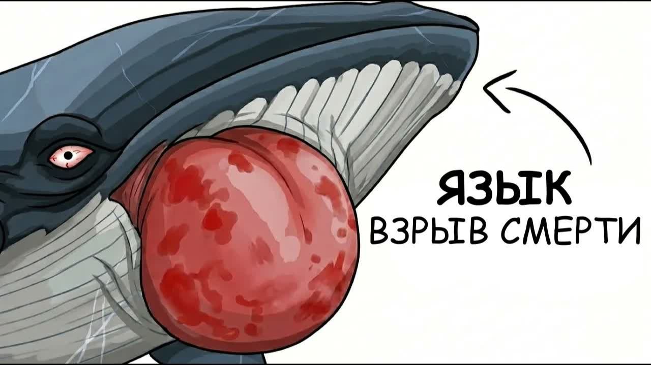 Ты – Синий Кит (И ЭТО ВСЯ ТВОЯ ЖИЗНЬ) смотреть онлайн