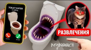 СКИБИДИ ПОЖИРАТЕЛЬ ТУАЛЕТА и  oaiiaoiia кот. Мемы и тренды.