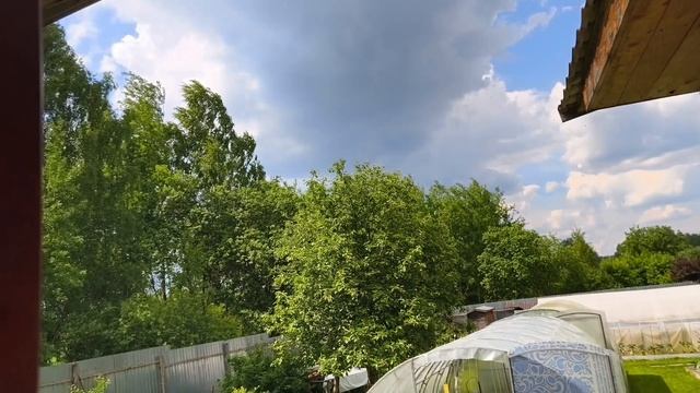 4 июня, ждём с котиком доставку. смотреть онлайн