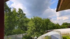 4 июня, ждём с котиком доставку.