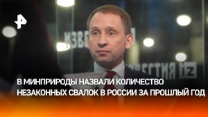 Козлов: в прошлом году в РФ выявили более 8 тыс. несанкционированных свалок