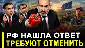 Вот и все.. На всякую хитрую гайку! Россия нашла ответ на манёвры Пашиняна