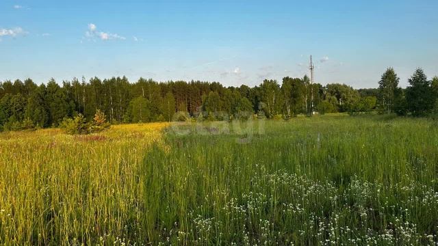 8876160 смотреть онлайн