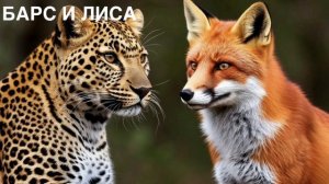 БАБРИЙ. Басня «БАРС И ЛИСА».