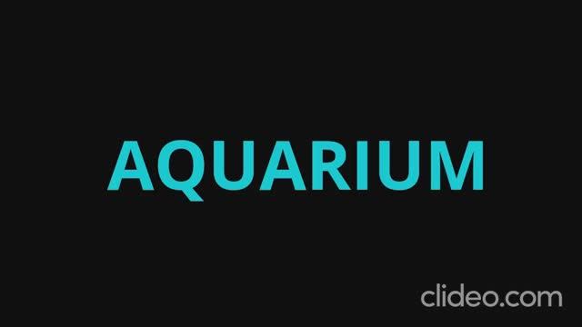 Volf Gang Records®: Aquarium смотреть онлайн
