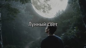 Лунный свет