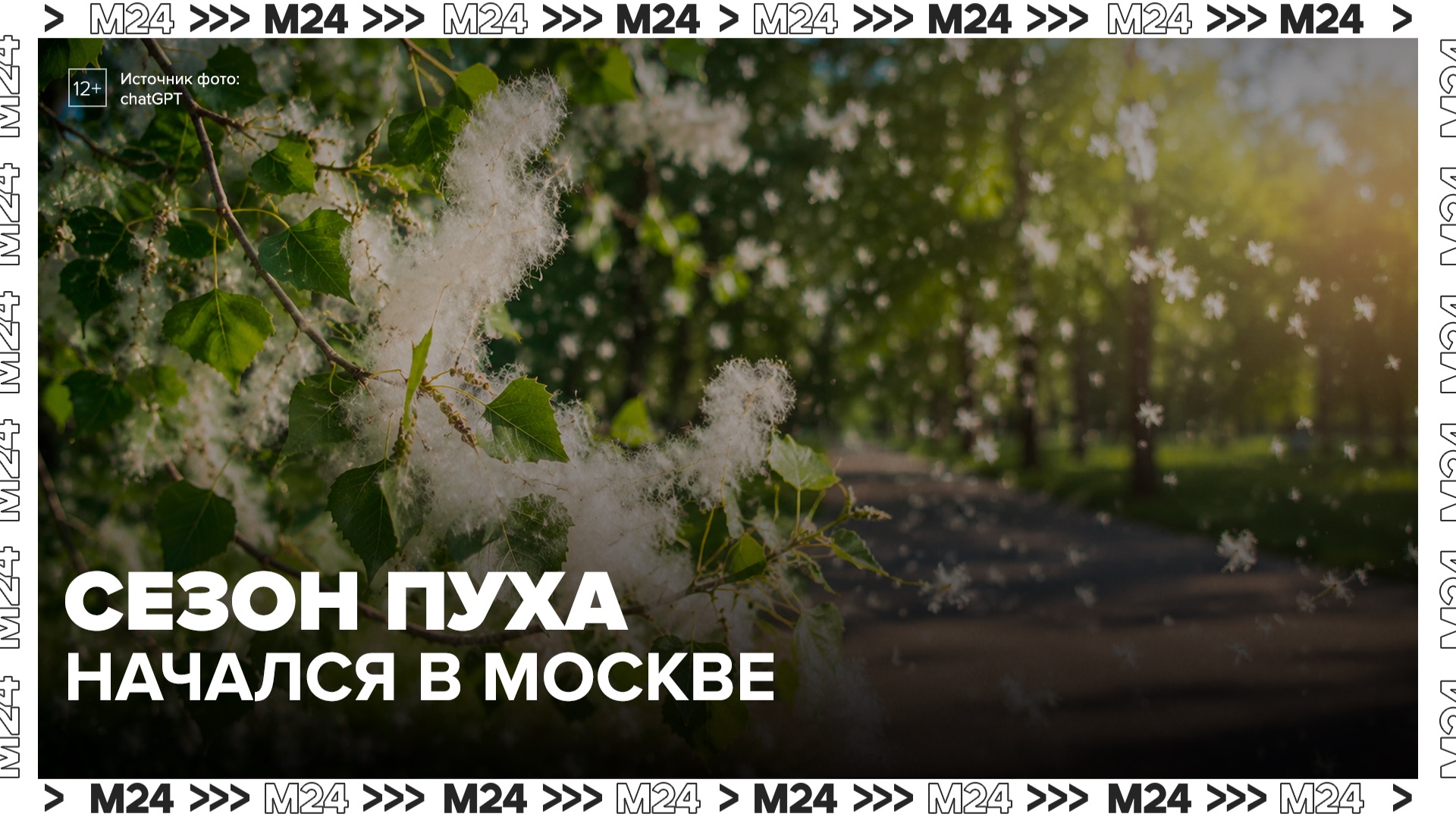 Ботаник объяснила раннее появление тополиного пуха в России - Москва 24 смотреть онлайн