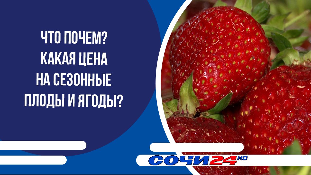 Что почем? Какая цена на сезонные плоды и ягоды? смотреть онлайн