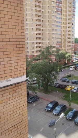 начало моей карьеры блогерства