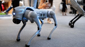 Роботы захватили ПМЭФ-2026. Собаку-робота готовят к службе в МЧС России и железнодорожные компании