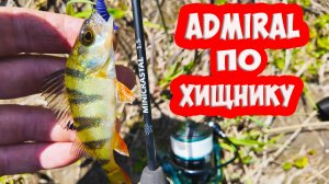 СПИННИНГ ADMIRAL MINICRASTAL. МОРМЫШИНГ, НАНОДЖИГ ПО ОКУНЮ.