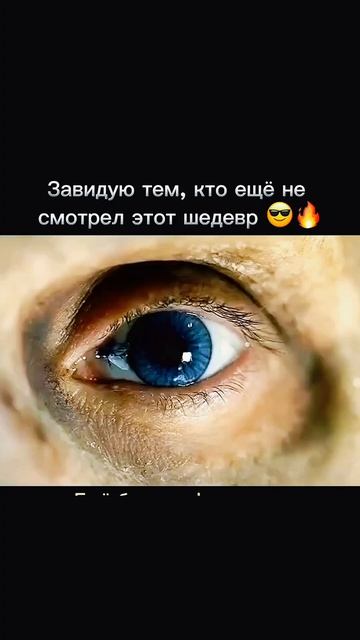 Мухи почуяли что он мертвец😱😱 смотреть онлайн