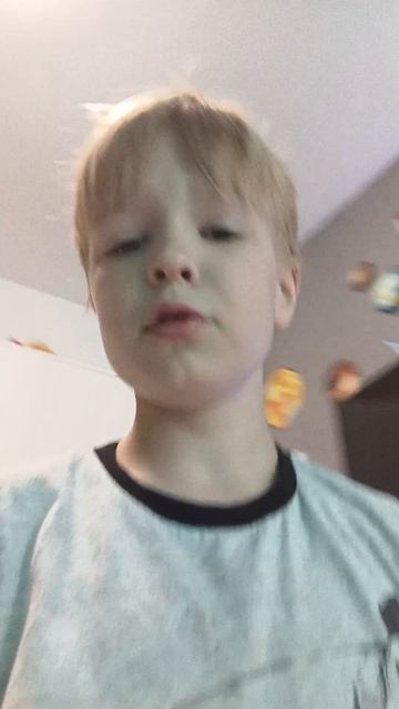 обзор попугаев