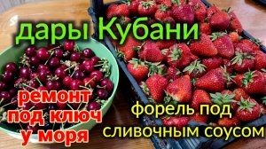 Форель под сливочным соусом. Один день нашей жизни. Ремонт и работа Олега. Собираю черевишню.