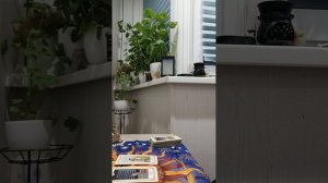 Карта дня
