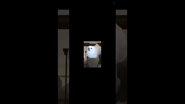 Skibidi toilet смотреть онлайн