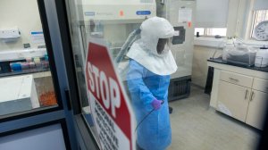 Россия направляет в Конго специалистов для борьбы с Эболой