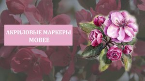Декоративная яблоня. Акварель ColorCraft